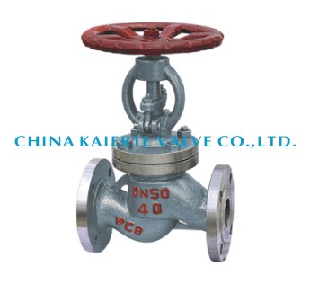 LPG special globe valve