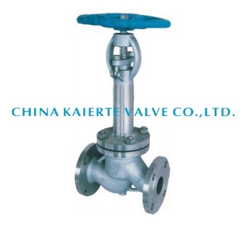 Cryogenic globe valve